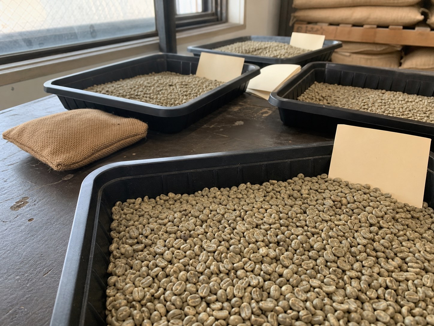 Vietnam Arabica green coffee beans